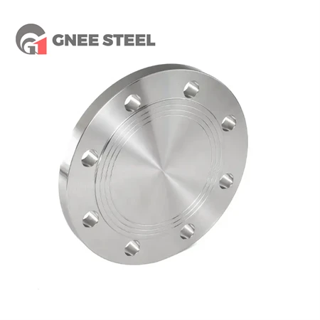 SUS 301 Stainless Steel Flange Cover