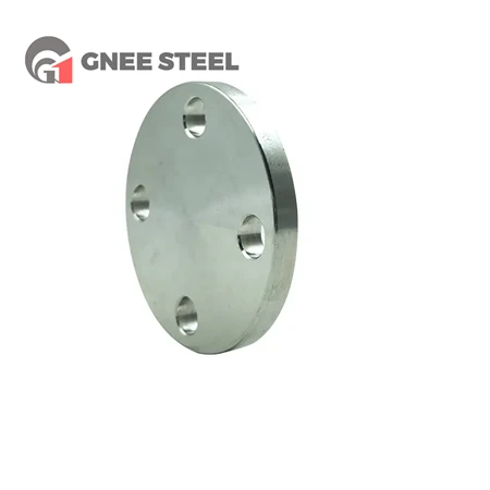 SUS 301 Stainless Steel Flange Cover
