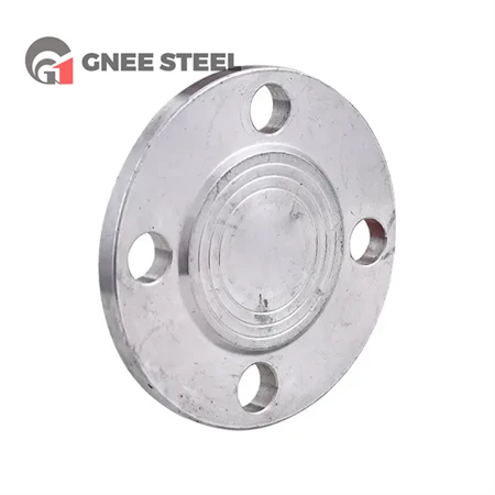 SUS 301 Stainless Steel Flange Cover
