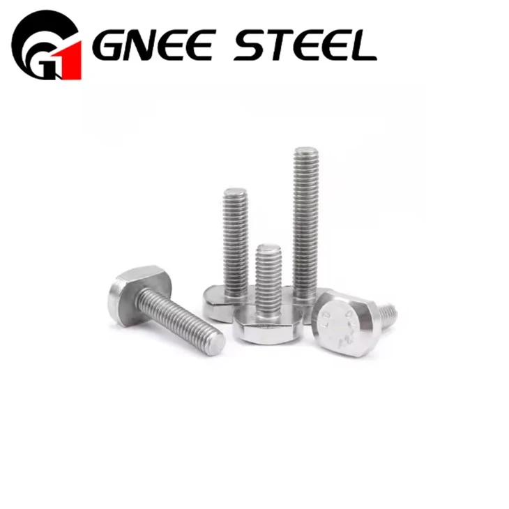 Stainless Steel T Bolts